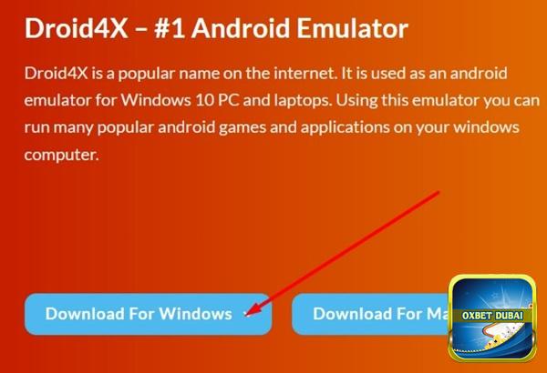 Nhấn vào mục “Download for Windows” hoặc “Download for Mac”